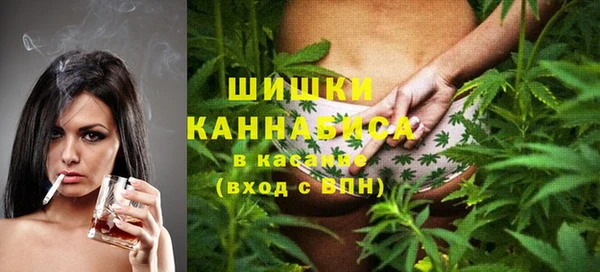 сатива Балахна