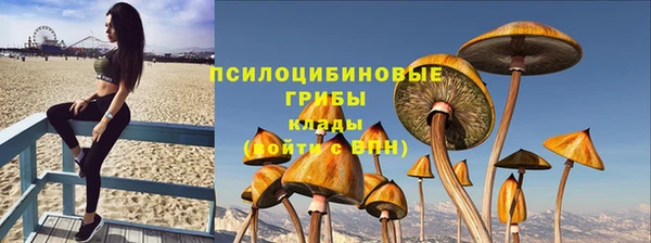 mdpv Баксан