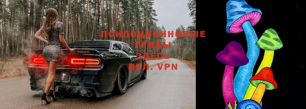 apvp Белоозёрский